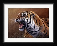 Final Warning Fine Art Print