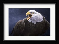 Cry Of The Eagle Fine Art Print