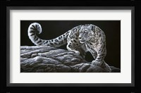 Snow Leopard Fine Art Print
