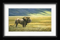 His Domain Lion Fine Art Print
