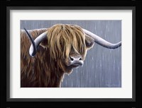 Highland Bull Rainy Day Fine Art Print