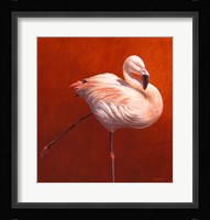 Flame Bird Flamingo Fine Art Print
