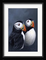 Puffins Fine Art Print
