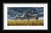 Coming Of Rain Zebra Fine Art Print