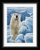 Ice Bear Polar Bear Fine Art Print