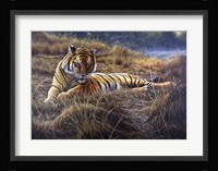 Tiger Fine Art Print