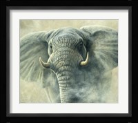 Storm Elephant Fine Art Print