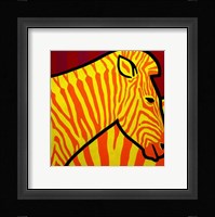 Cadmium Zebra 1 Framed Print