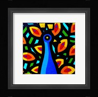 Peacock 3 Framed Print