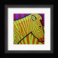 Cadmium Zebra 2 Framed Print