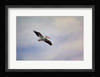 A Beautiful Day To Fly Fine Art Print