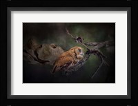 After The Acorns Fall Fine Art Print