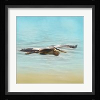 Arrival Of The Blue Heron Fine Art Print