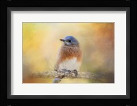 Autumn's Treasure Fine Art Print