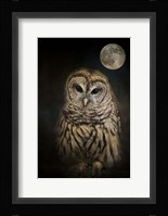 Barred Owl And The Moon Fine Art Print