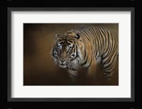 Bengal Stare Fine Art Print