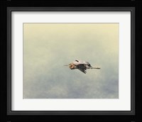 Blue Heron In Flight 2 Fine Art Print