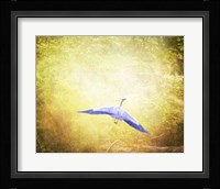 Blue Heron In The Light Fine Art Print