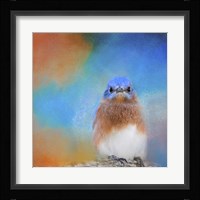 Blue Is Beautiful Fine Art Print
