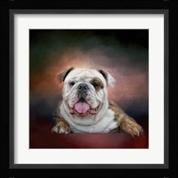 Bulldog Hanging Out Fine Art Print
