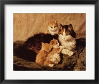 Contentment Fine Art Print