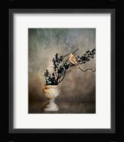 House Finch and Berries Fine Art Print