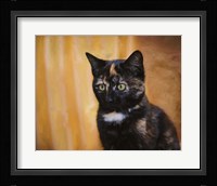 Jeweled Eyes Tortoiseshell Kitten Fine Art Print