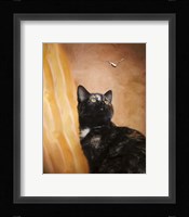 Kitten And The Butterfly Fine Art Print