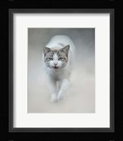 Out Of The Mist Fine Art Print