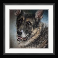 Portrait Of A Shepherd Fine Art Print