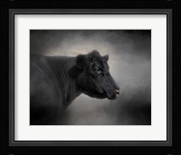 Portrait Of The Black Angus Fine Art Print