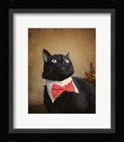 Ready For Dinner Fine Art Print