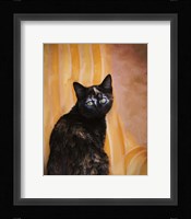 Royal Kitten Fine Art Print