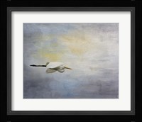 Silent Flight Great White Egret Fine Art Print