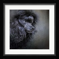 Snack Spotter Toy Black Poodle Fine Art Print