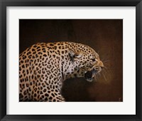 Snarling Leopard Fine Art Print