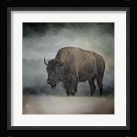 Stormy Day Buffalo Fine Art Print