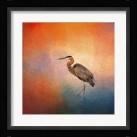 Sunset Heron Fine Art Print