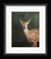 White Tailed Fawn Portrait Fine Art Print