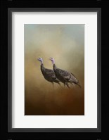 Wild Turkey At Shiloh Fine Art Print