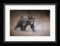 Young Grizzly Bear Fine Art Print