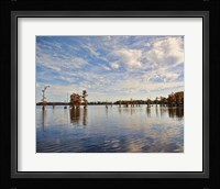 Autumn Cypress Trees Fine Art Print