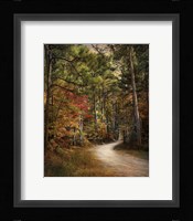 Autumn Forest 2 Framed Print