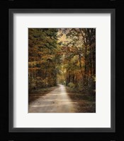 Autumn Forest 3 Framed Print