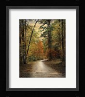 Autumn Forest 4 Framed Print