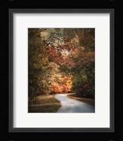 Autumn Passage 1 Framed Print