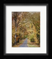 Autumn Passage 2 Framed Print