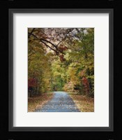 Autumn Passage 3 Framed Print