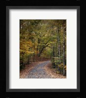 Autumn Passage 5 Framed Print