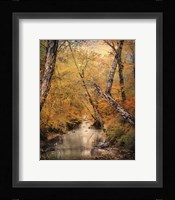 Autumn Riches 1 Fine Art Print